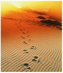 medium_footprints.jpg
